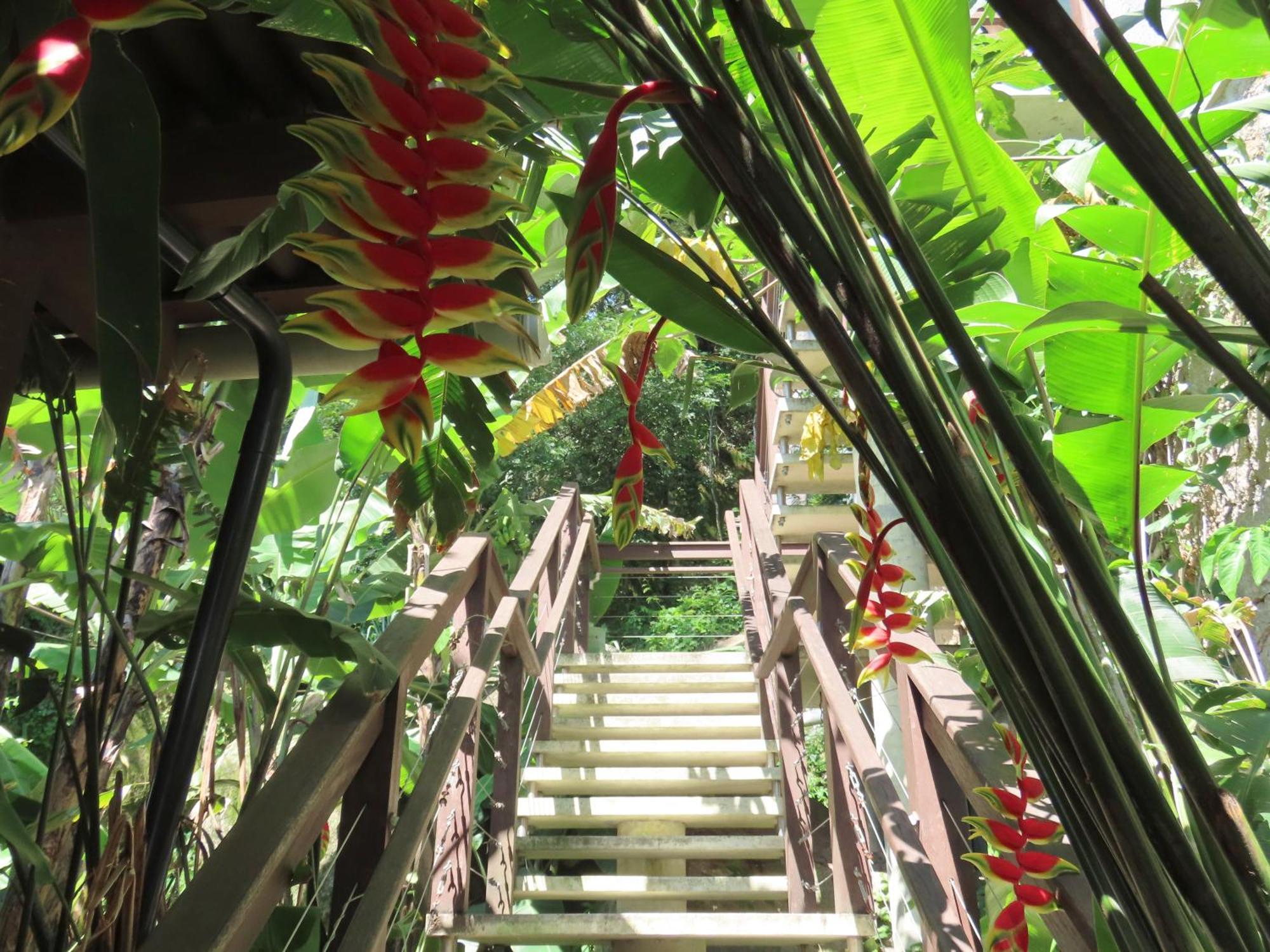 Patio Floriparadise フロリアノポリス エクステリア 写真